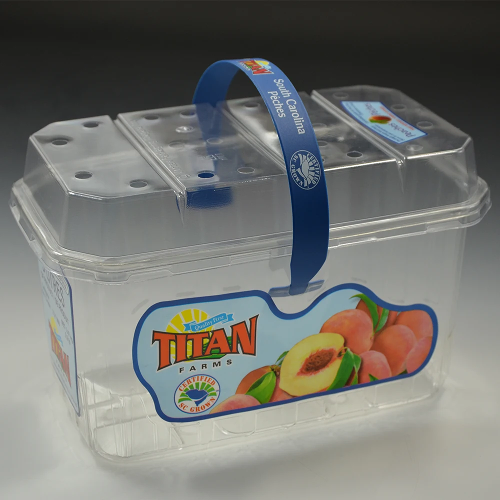 Square Shape Design Disposable Plastic Box Fruit Salad Packaging With Handle Dry Fruits Box Packaging Dried Fruit Box