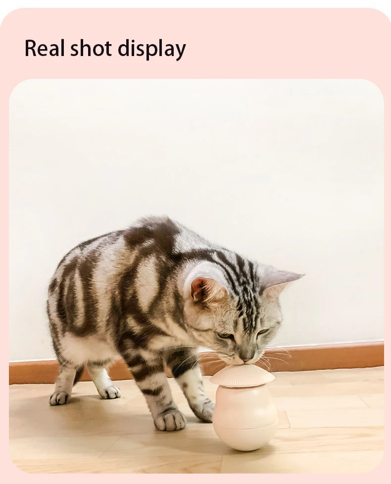 New Design Rechargeable Interactive Cat Laser Toy with Real Random Trajectory and Motion Activated Tunnel Pet Products supplier