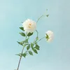 una rama blanca