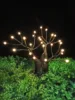 árbol de perlas