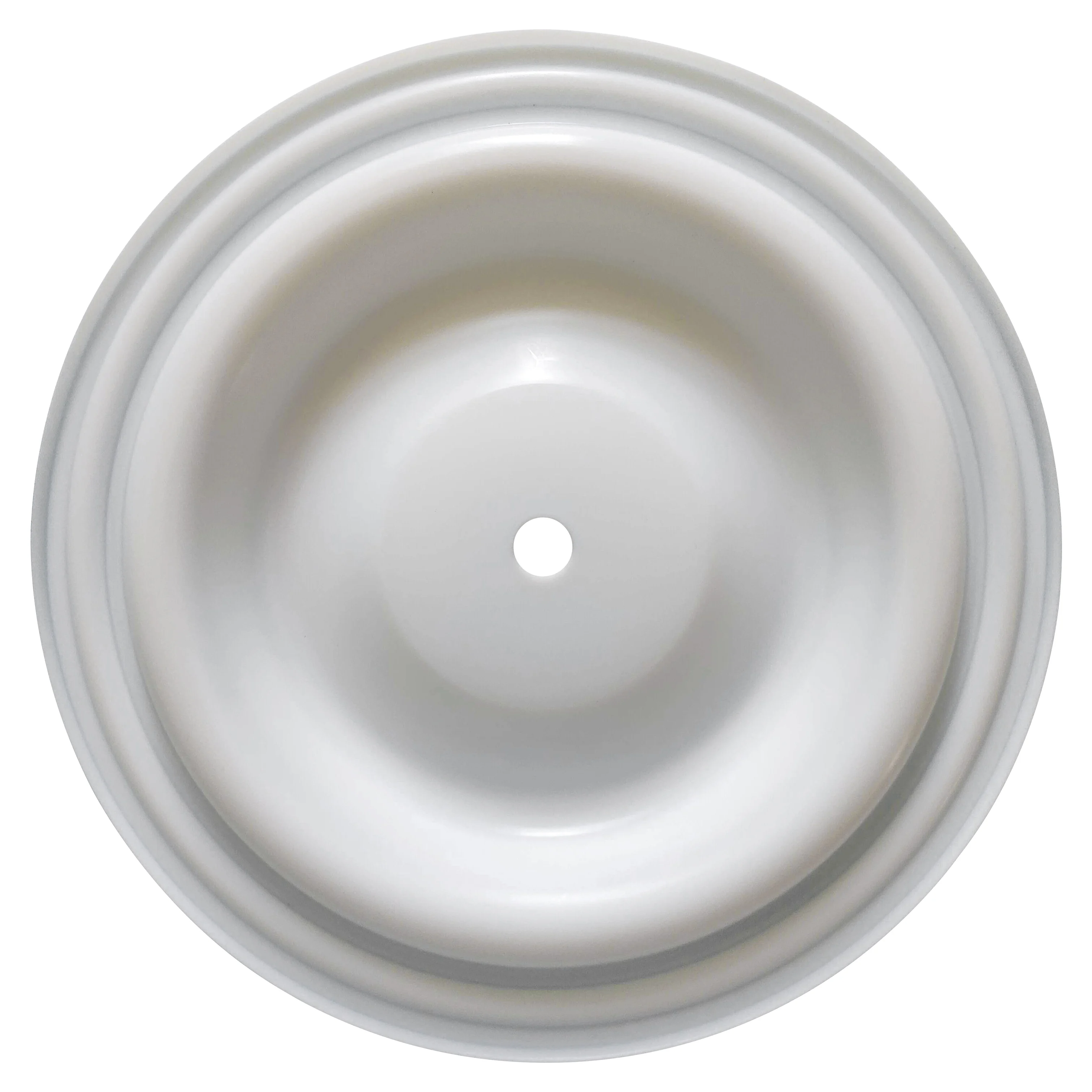 CF04-1040-55 Diaphragm 