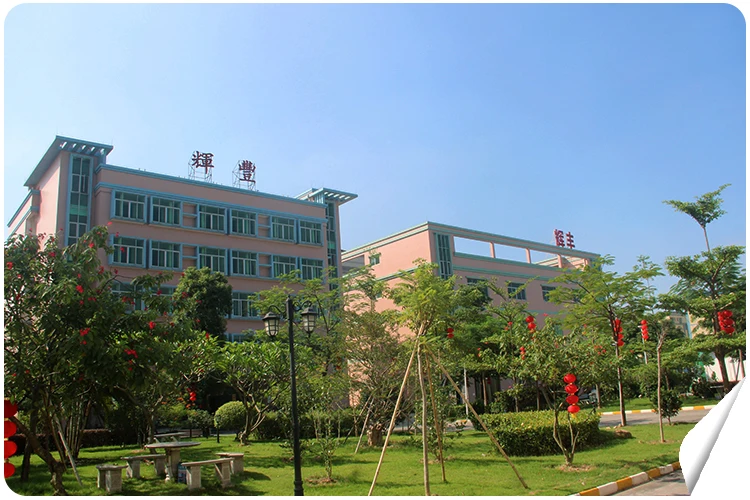 company01.jpg