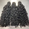 Burmese