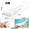 Beluga colorata X103 in morbida gomma imbottita di cotone