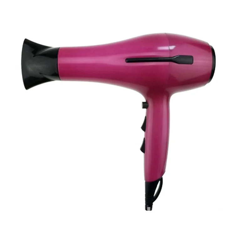Chi Touch Blow on Labeling Professional Hair Dryer