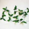 Vides de hoja pura