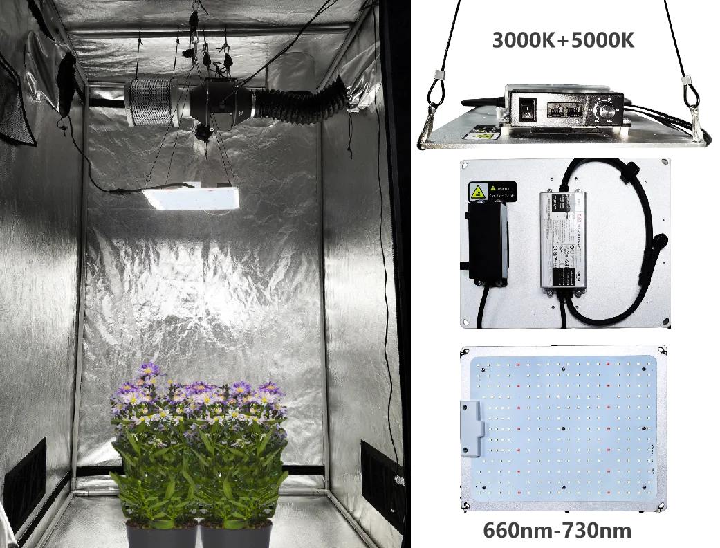 Grow Tent Complete Kit 8x4 Grow Tent Set Grow Tent Complete Kit Led