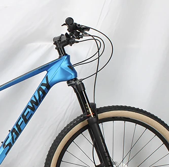 Fast Delivery New 11 Speed Derailleur LTWOO Hydraulic Brake 29 Inch Carbon Fiber Frame Suspension Shock Fork Mountain Bikes