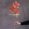 Fleur de Gesang