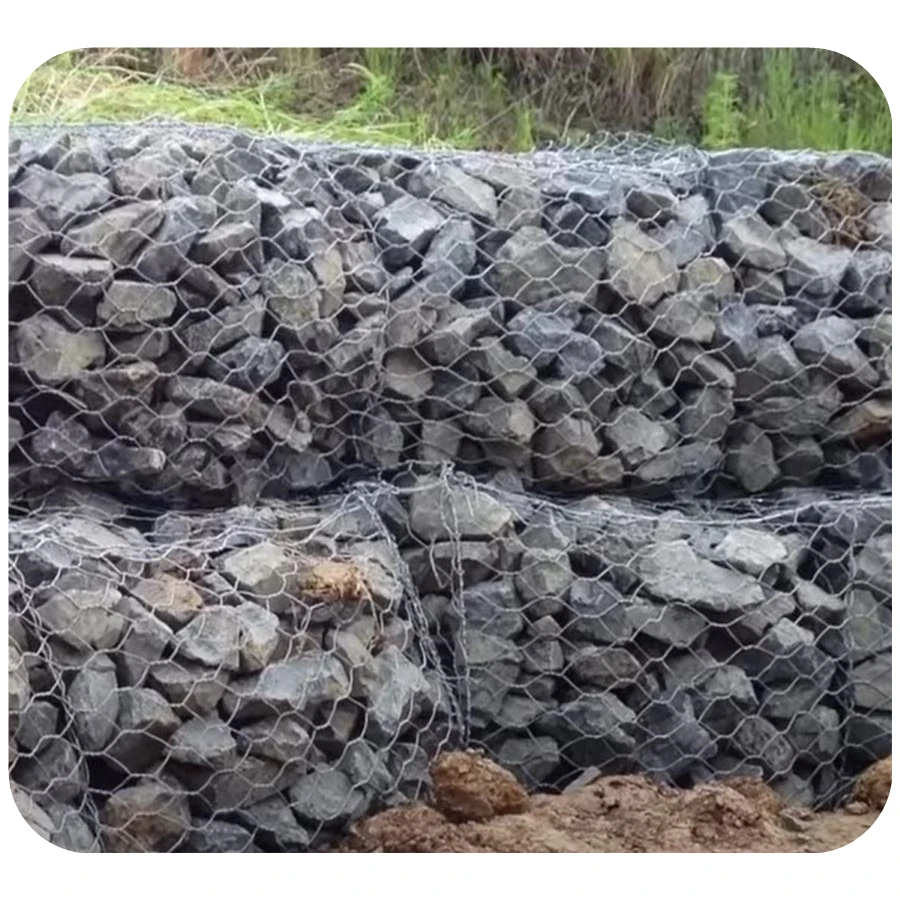High quality hot Dipped wire mesh chain link fence for garden