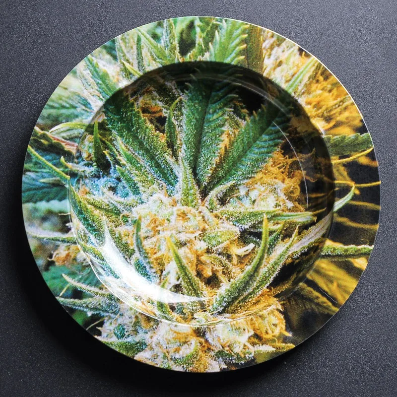 rolling plate (10).jpg
