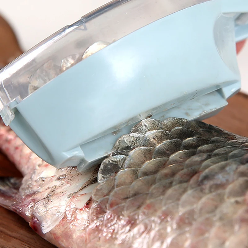 Early Riser Fish Scales Graters Scraper Fish Cleaning Tool Scraping ...