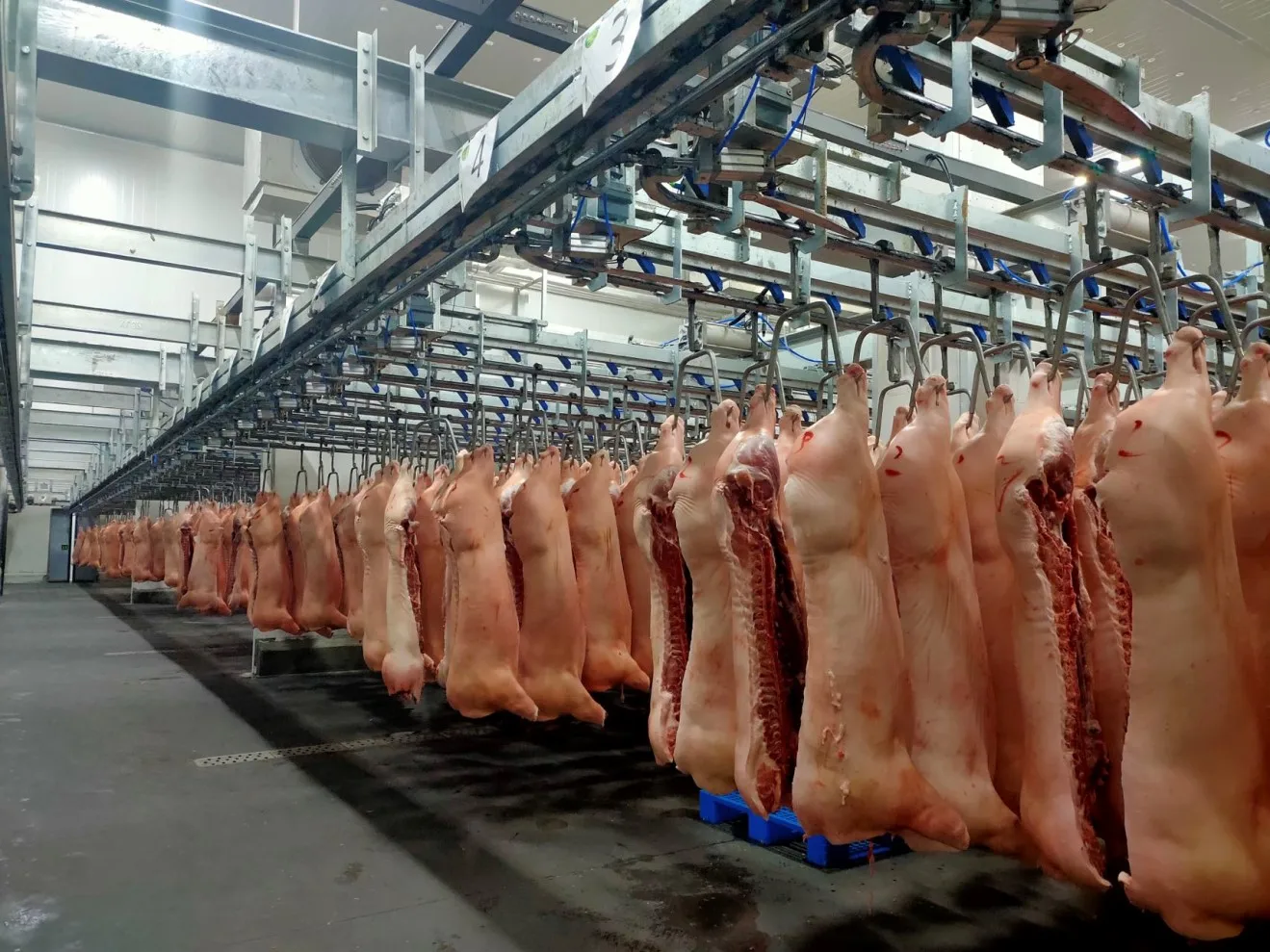 Complete turnkey pig slaughtering production line stainless steel 304 pig slaughterhouse mechanical pig slaughtering processing system