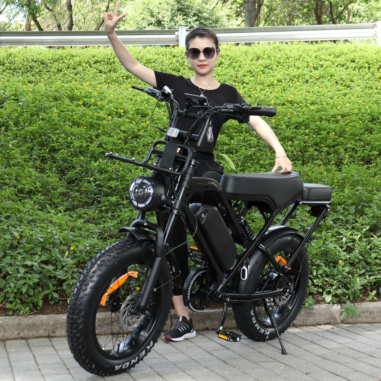 V20 Fat-Bike 1000w Electric Bike for 50km/h Speed