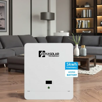 51.2V 100AH LiFePO4 Solar Household Energy Storage Battery Wall-Mounted Lithium Ion Pack