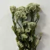 Polo verde y flor blanca.