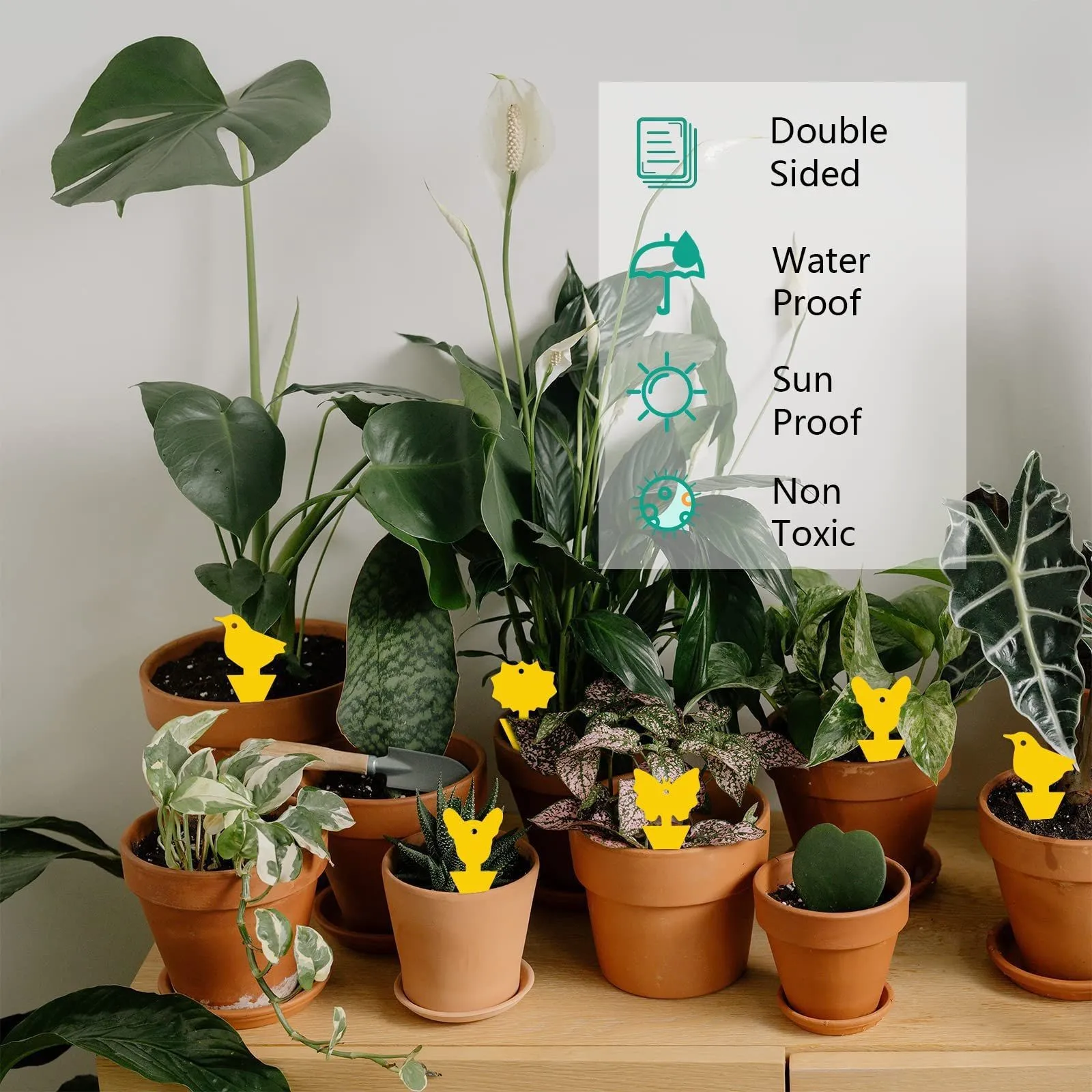 Double Side Sticky Traps Non Toxic Yellow Plant Sticky Traps Fungus Gnat Traps for House Indoor Plants