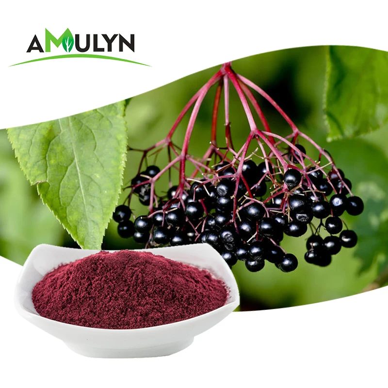 amulyn pure natural improve immunity organic black elderberry