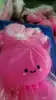 25 pink blush-without steamer