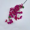 #2 fiori di bouganville rosso porpora