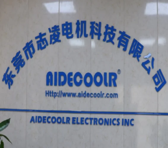 Dongguan Zhiling Motor Technology Co., Ltd.