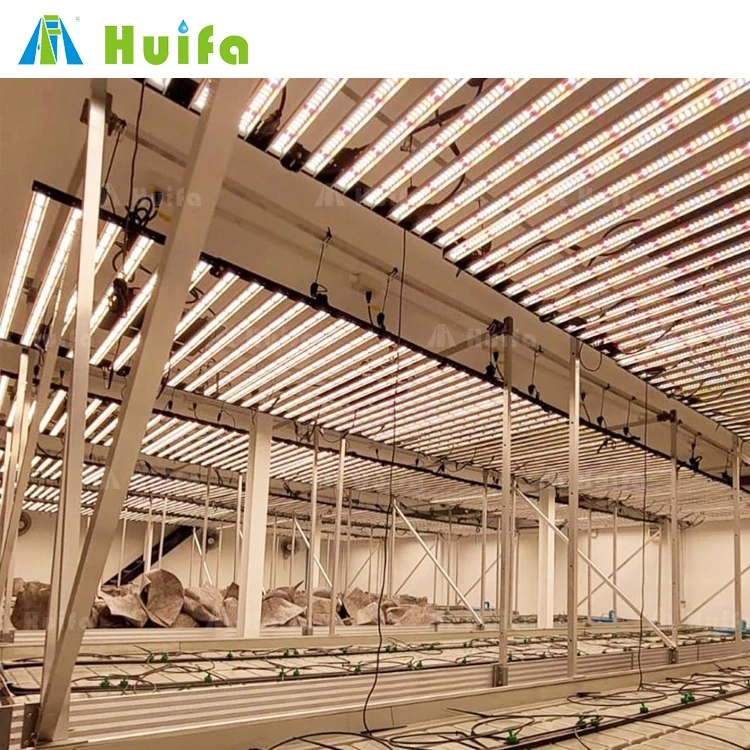 Alibaba.com: HUIFA High Grow Yield Lettuce Seeding Indoor Hydroponic ...