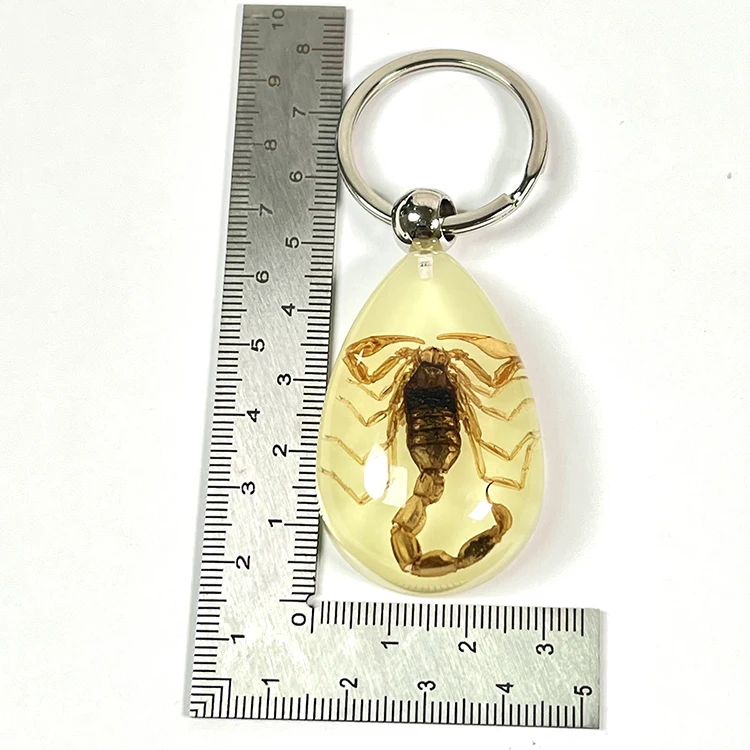IVR Factory Cool Insect Keychain  Real Spider Luminous Keychain for Boys