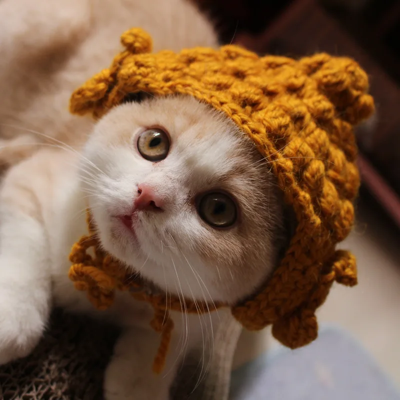 cappello di gatto fatto a mano y-z cappello a maglia crochet carino animale  domestico britannico cappello da modella divertente per i gatti