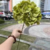 verde 2#