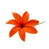 PRF-231 Orange