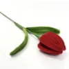 Red tulips