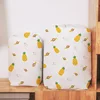Pineapple 70*32CM
