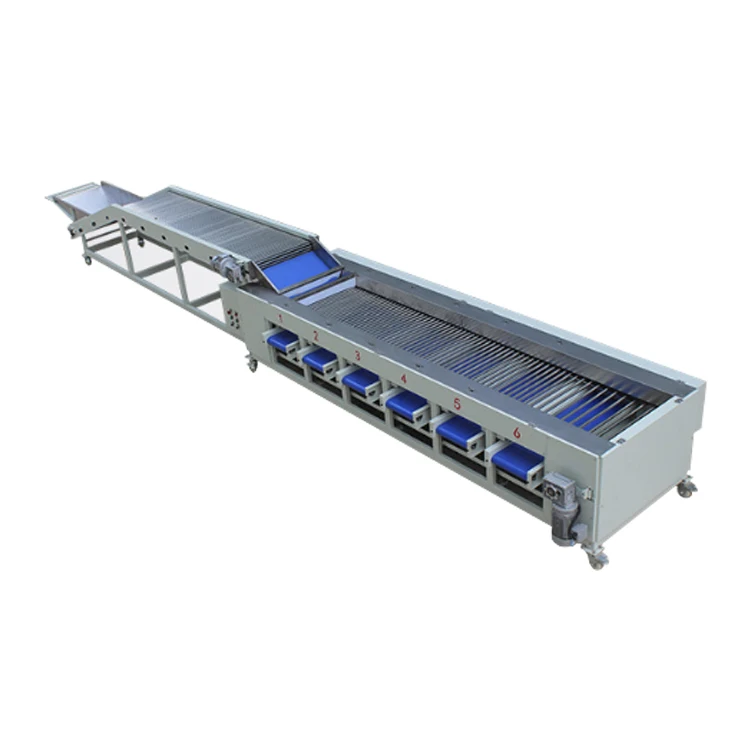 Cucumber Carrot Sorting Machine Carrots Grading Machine