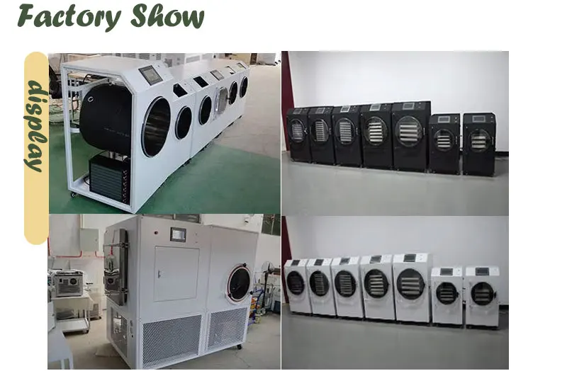 Mini Freeze Dryer Machine for Home Use - Affordable Food Freeze Dryer ...