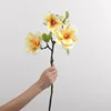 Ciotola grande - magnolia - giallo latte chiaro - 60 cm