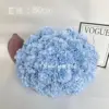 80cm Blue Hydrangea