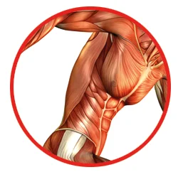 trening ems bydgoszcz trening ems bydgoszcz