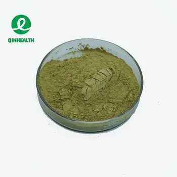 High Quality Natural Barley Grass Juice Powder