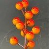 Gradual-colored fruit (12 fruits)