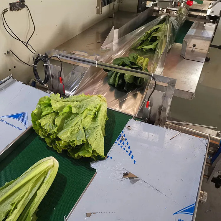 Fully Automatic Horizontal Wrapping Pack Packaging Machine Fruit and Vegetable Packing Machine