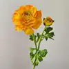 naranja#3