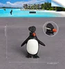 437 Pingüino saltador de rocas