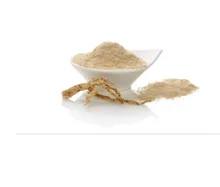 A well-made product Panax Ginseng Extract High purity, good quality and fast shipping