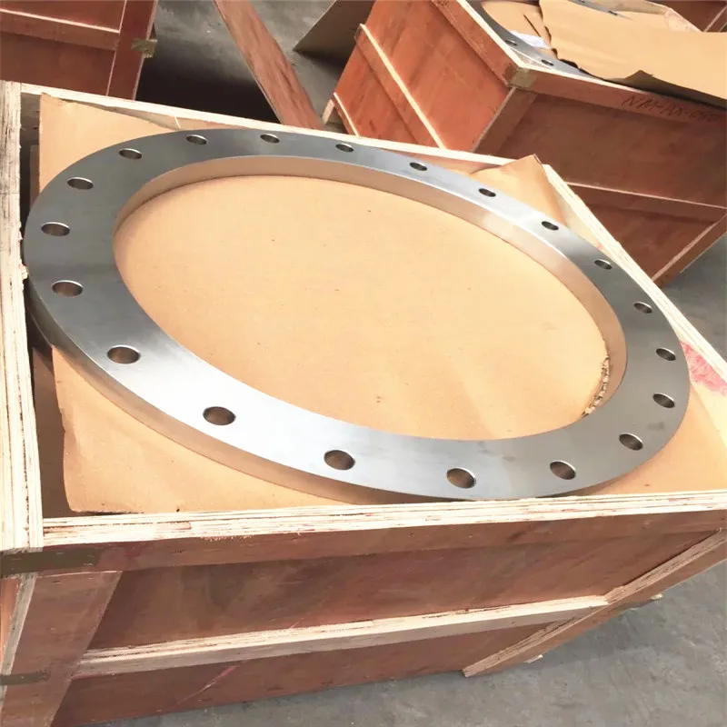 Drawing Customized Stainless Steel SS 304 316 EN1092-1 Type 01 PN10 PN16 DN300 PL  FF Flat Face Loose Plate Flange Plate Flange