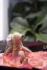 Little pink mouse