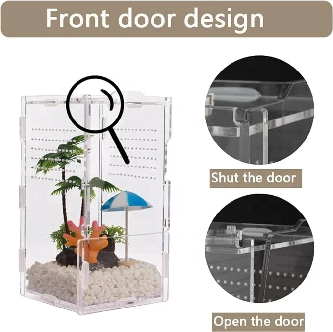 Terrario In Acrilico 15x15x25cm Per Insetti E Rettili - Portatile Con Coperchio A Cerniera - Foto 13