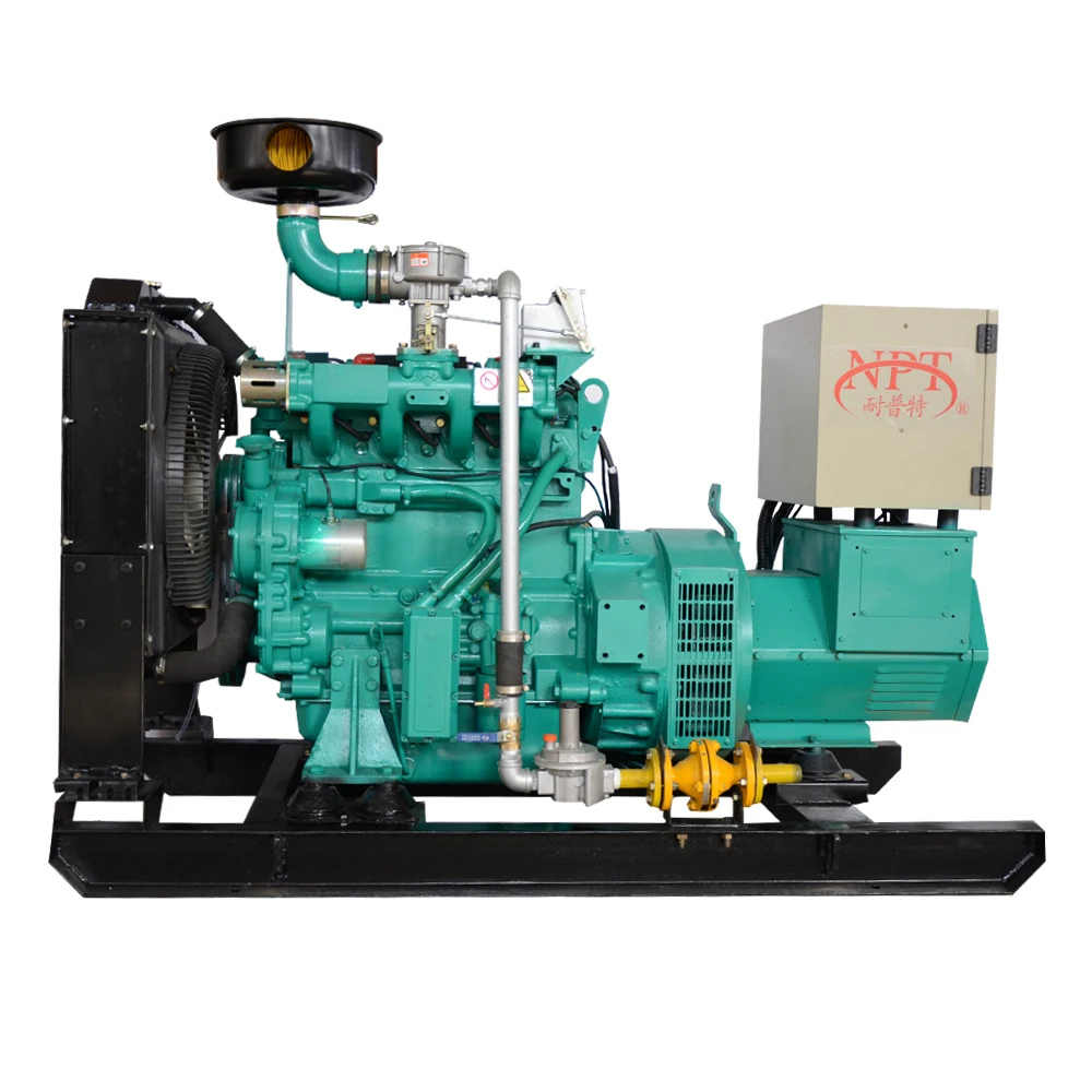 Customized CE Approved 25KW Generator Biogas for Electricity