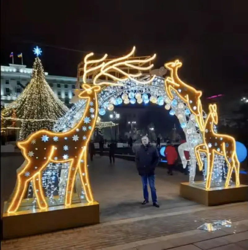 Square Park 3d Modeling Lights Pattern Lights Landscape Decoration Ip65 Waterproof Arch Light Giraffe Lamp Deer Lantern