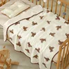 Teddy bear-bean blanket