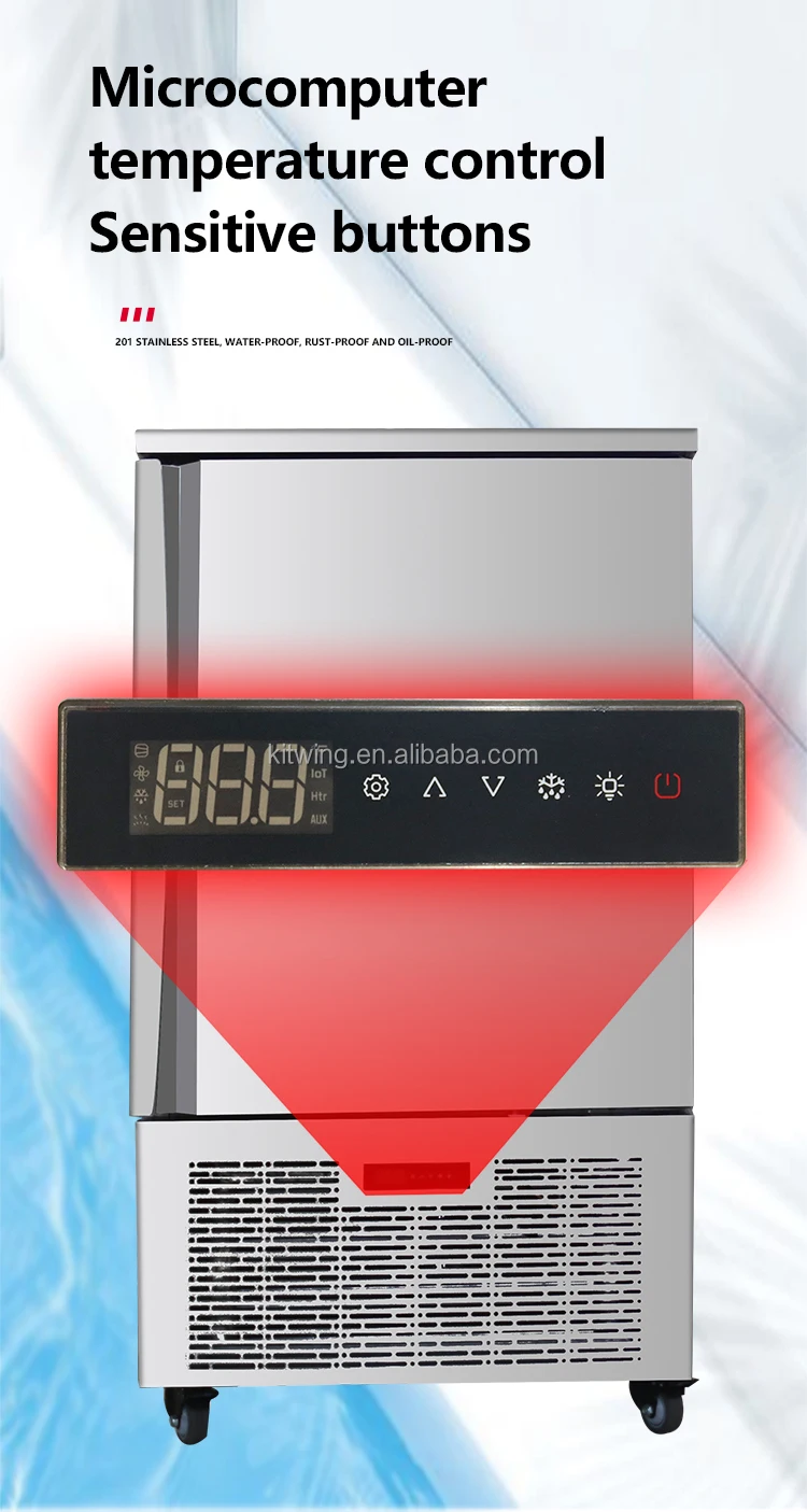 Quickfreezing 5plate Refrigerator Single Temperature Style